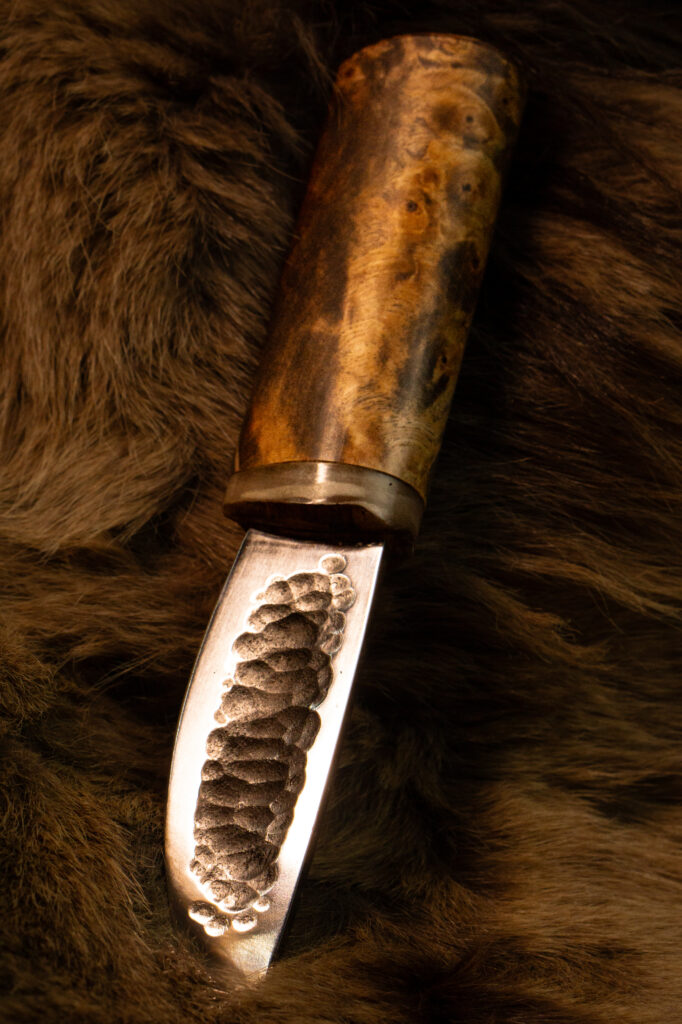 Птичий глаз — 5