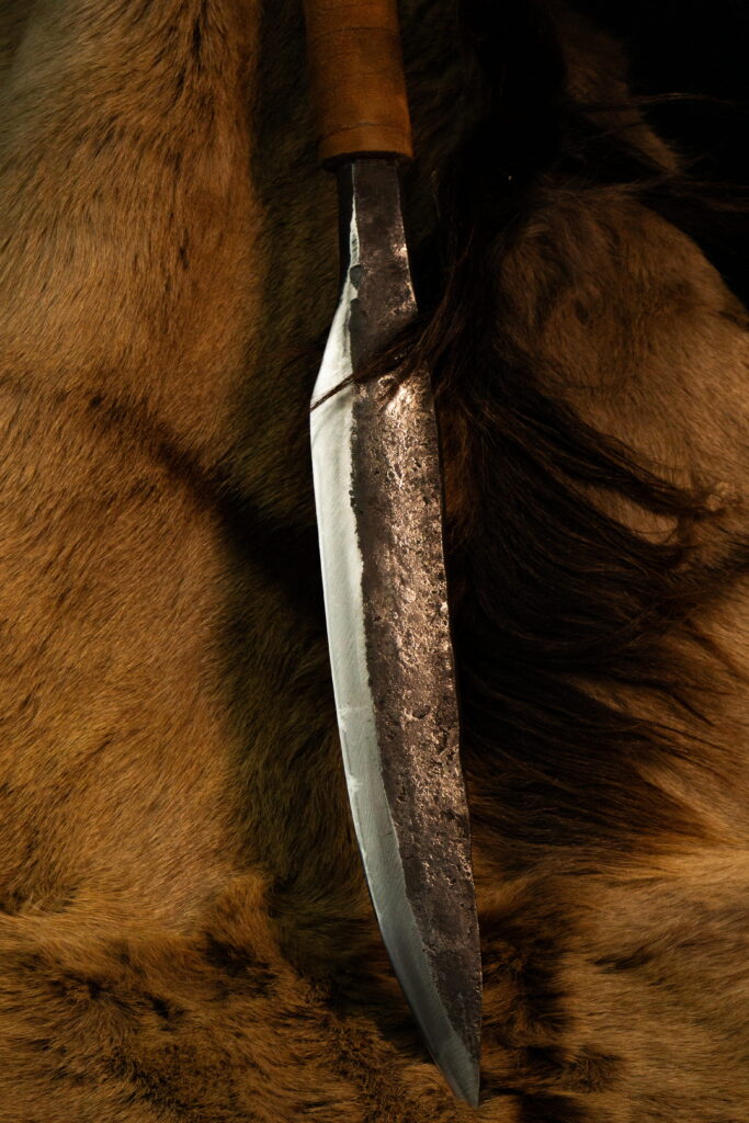 Батыйа — Северный страж — 6