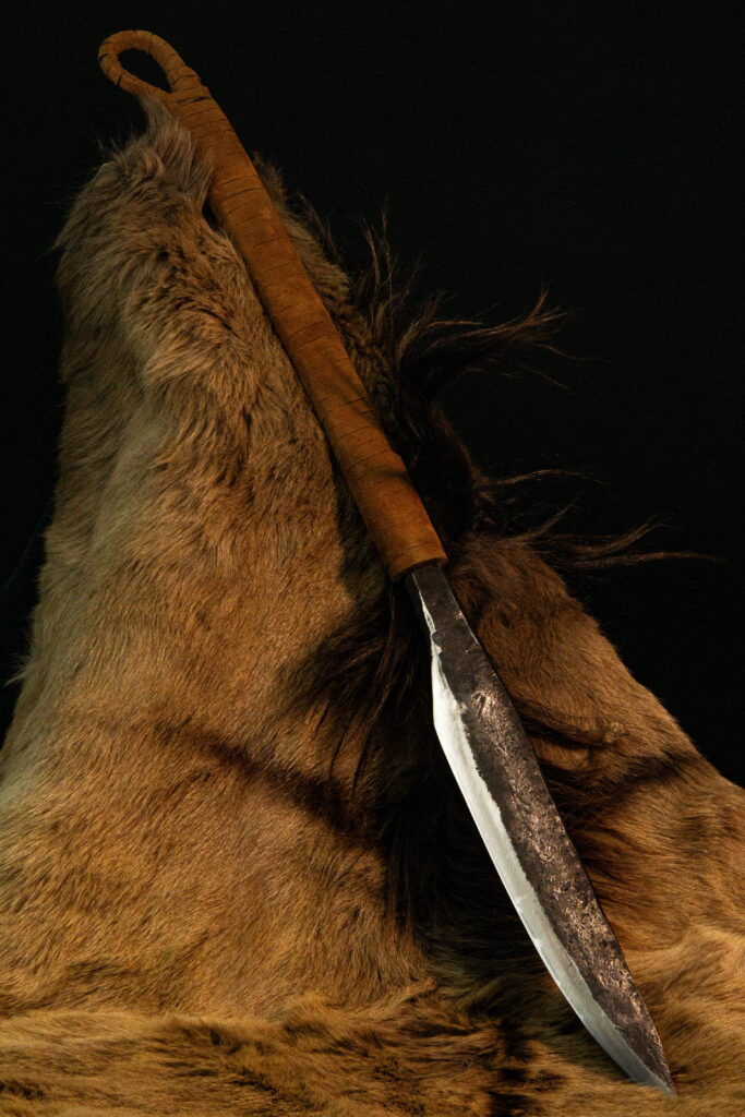 Батыйа — Северный страж — 3