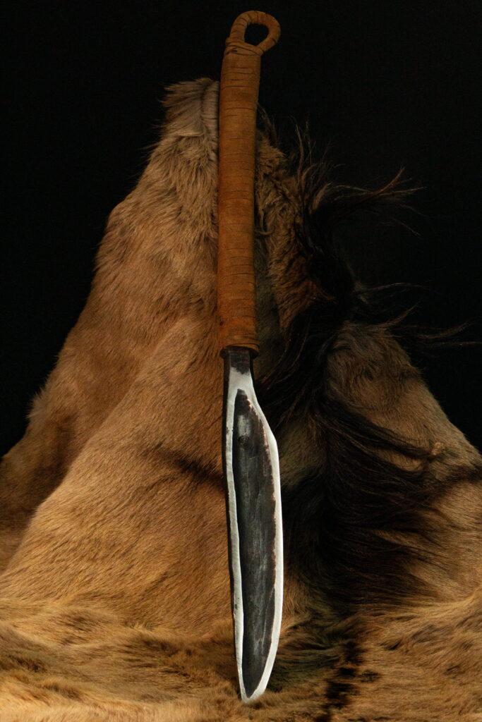 Батыйа — Северный страж — 4