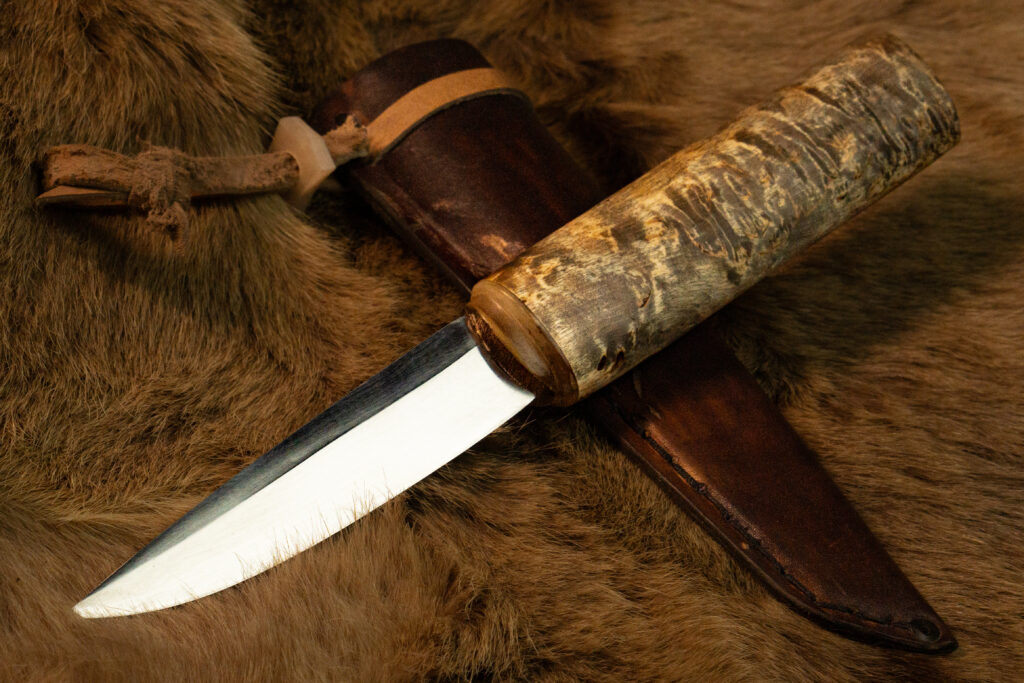 Северное сияние — 8